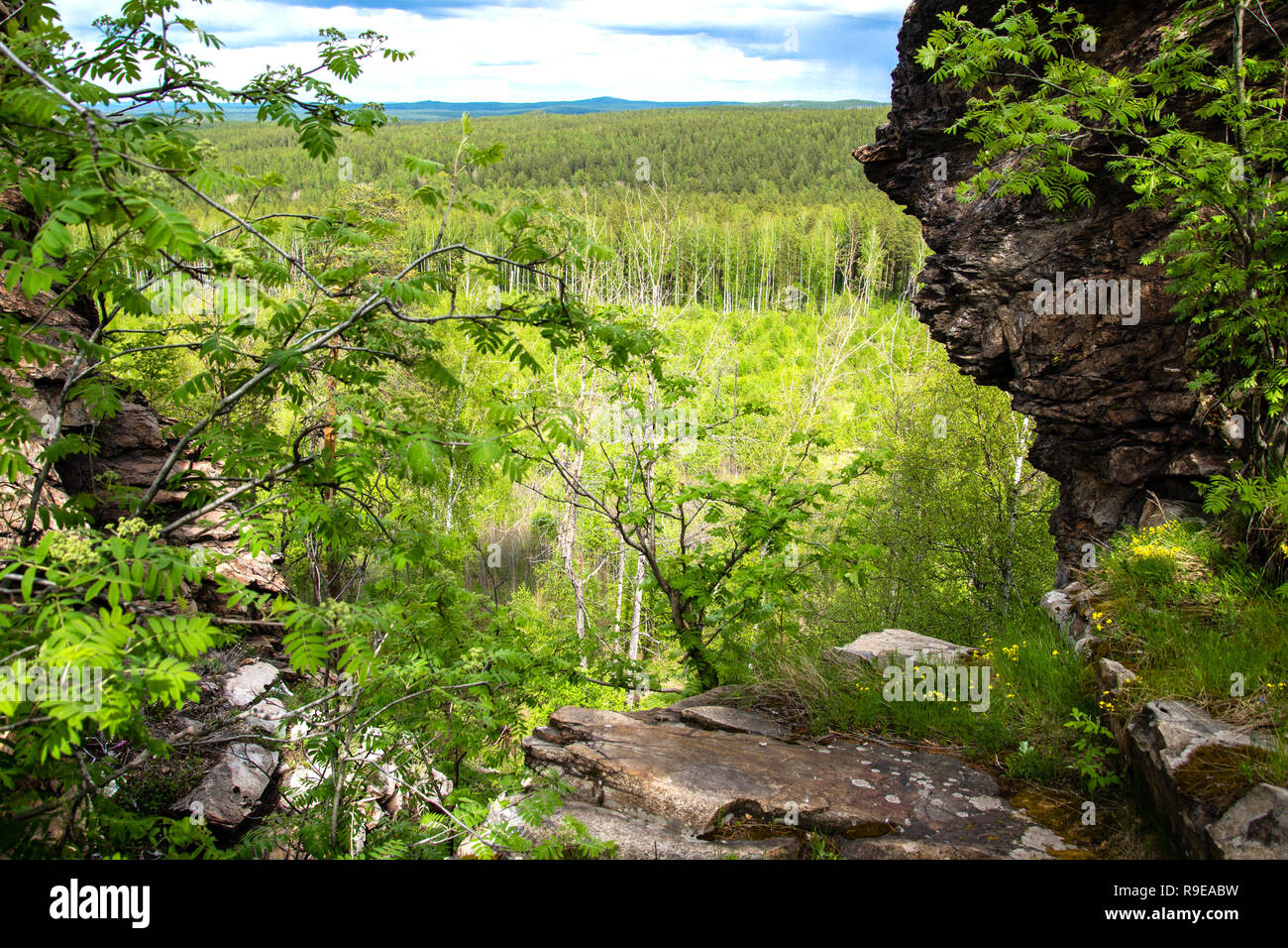 View on taiga. Rocks in the forest of Siberia Stock Photo - Alamy
