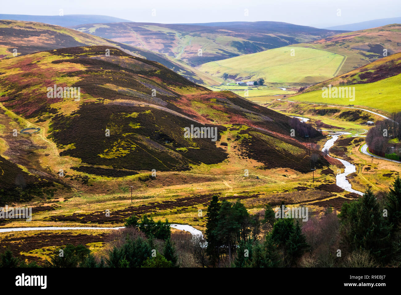Heriot Stock Photos & Heriot Stock Images Alamy