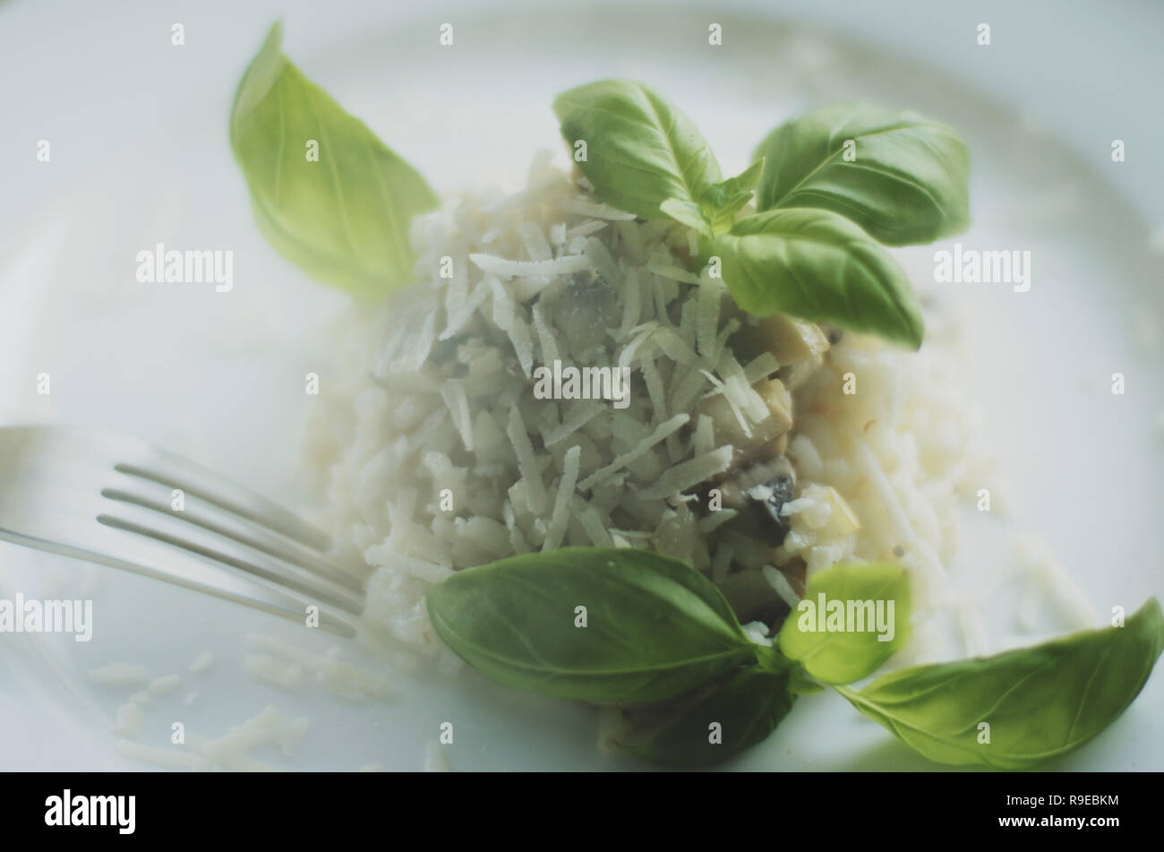 european and mediterranean cuisine styled concept - mushroom risotto ...