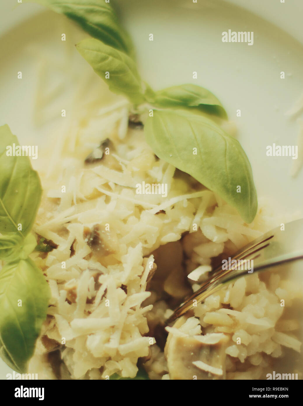 european and mediterranean cuisine styled concept - mushroom risotto ...