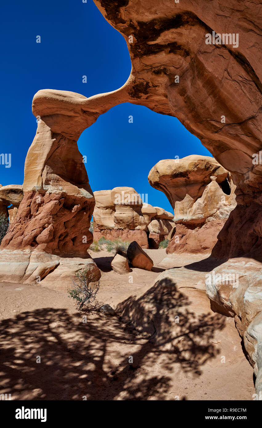 Metate Arch in Devils Garden, Grand Staircase-Escalante National Monument, Utah, USA, North America     Metate Arch in Devils Garden, Grand Staircase- Stock Photo