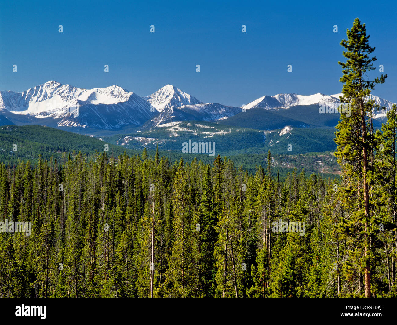peaks of the anaconda range and foothills near montana