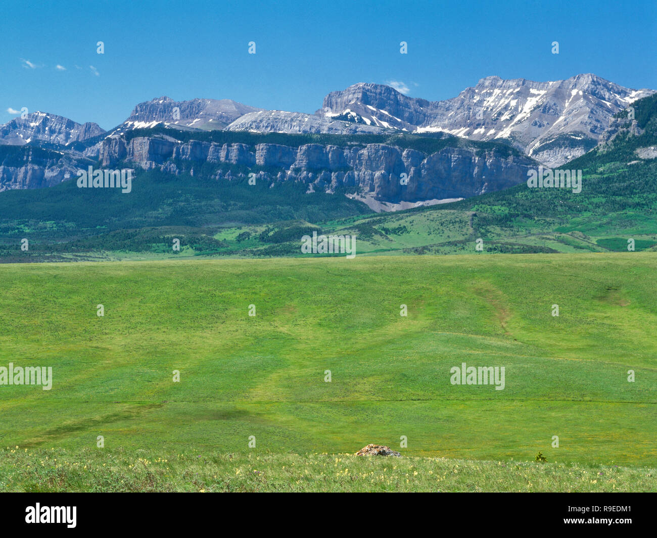 volcano reef and mount frazier above theodore roosevelt memorial ranch