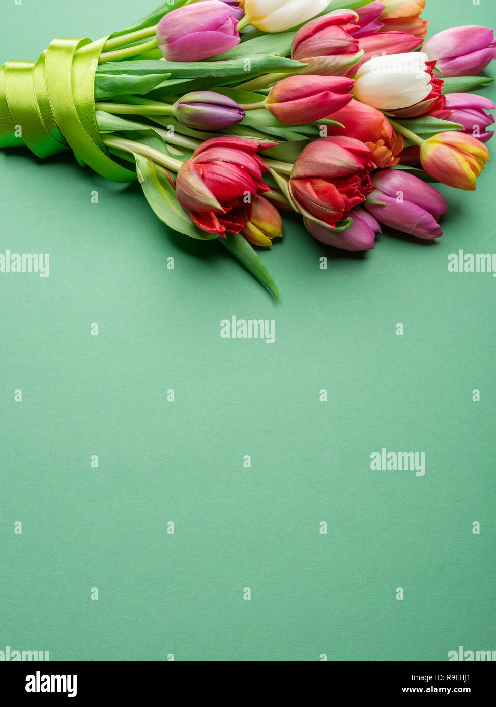Colorful bouquet of tulips on white background. Spring background Stock ...