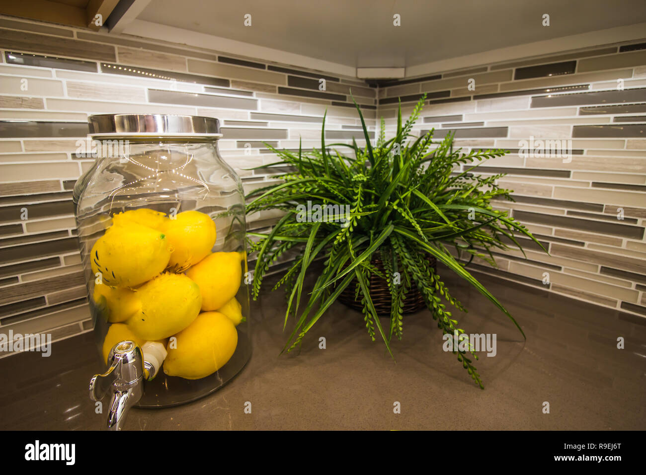 Container Of Lemons And Plant On Kitchen Counter Stock Photo Alamy