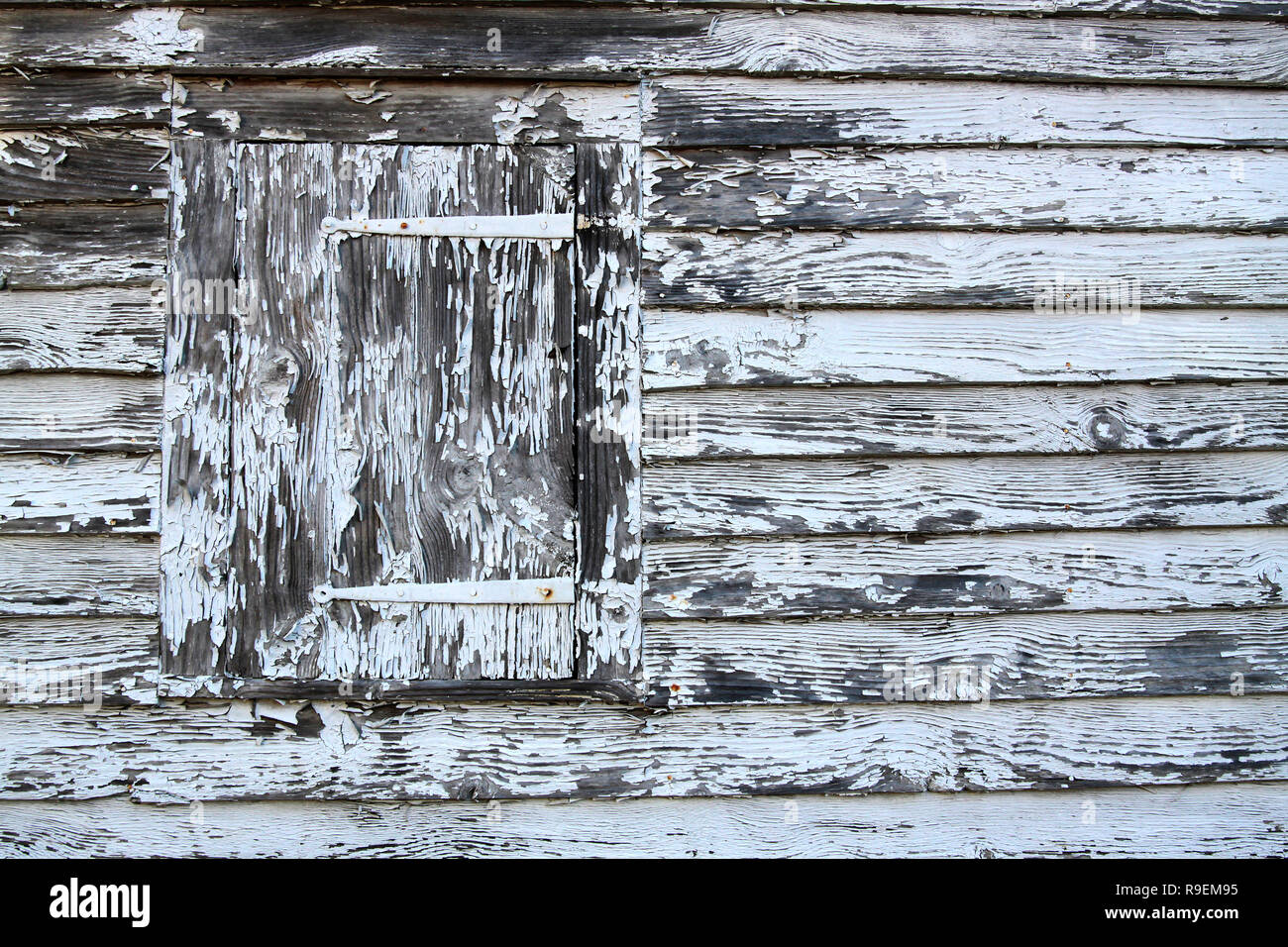 weathered and peeling white paint on very old shuttered window Stock ...