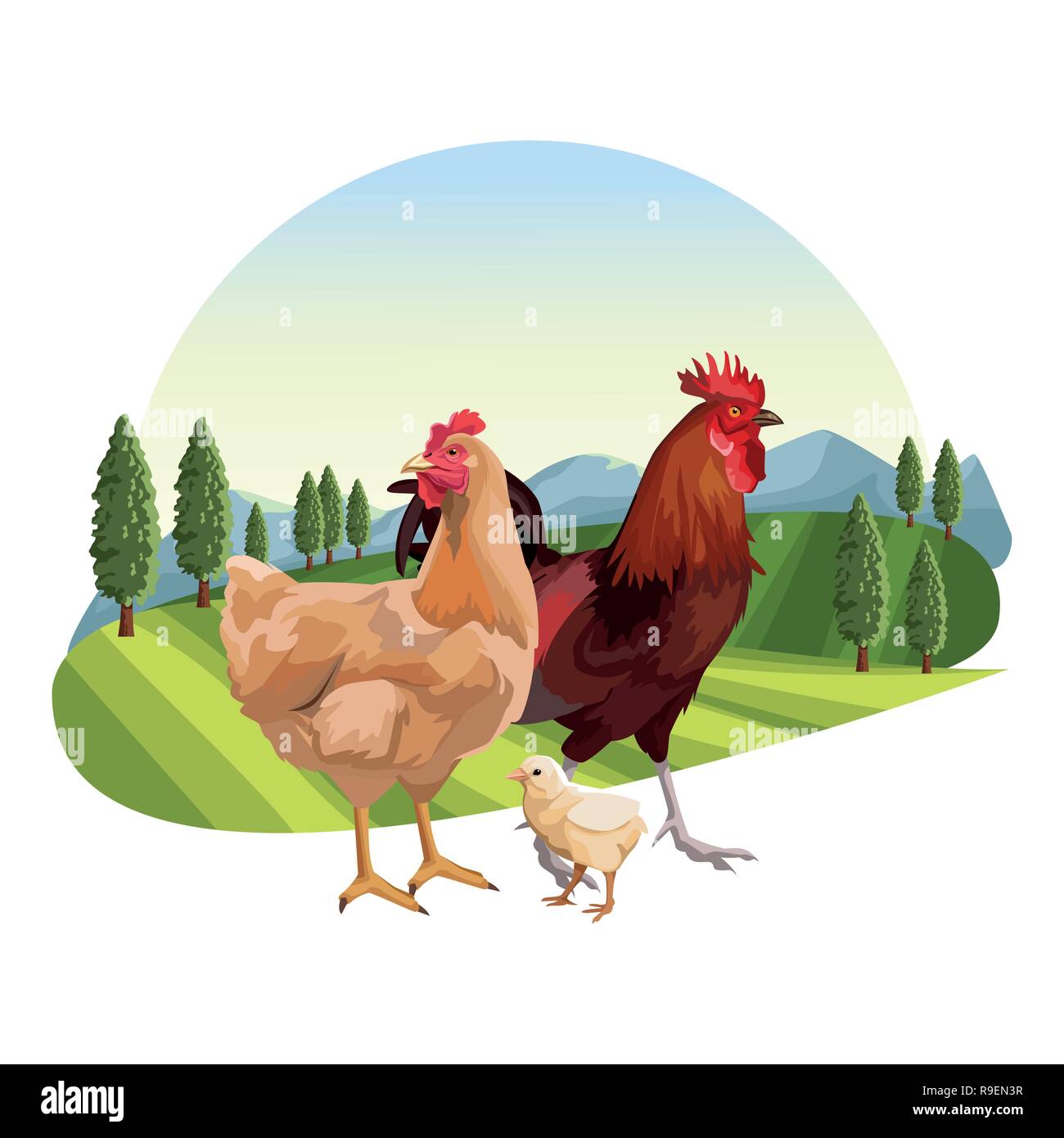 Chicken and roaster Stock Vector Image & Art - Alamy