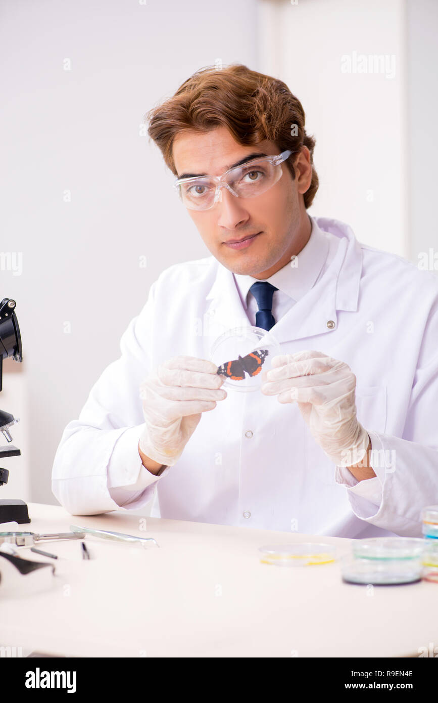 Studying insect species hi-res stock photography and images - Alamy