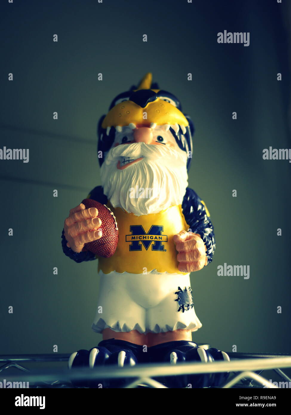 Silver Spring, MD - June 8, 2013: Image of Garden Gnome Dressed in University of Michigan Athletic Wear, Wolverine Hat and holding a football Stock Photo