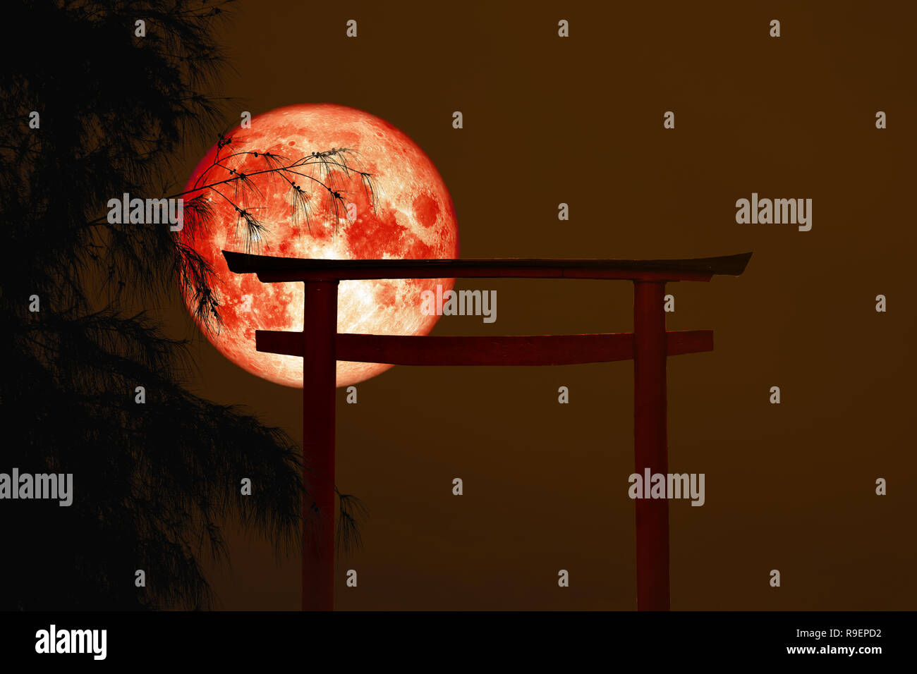 Super Moon Japan High Resolution Stock Photography And Images Alamy Super Moon Japan High Resolution Stock Photography And Images Alamy