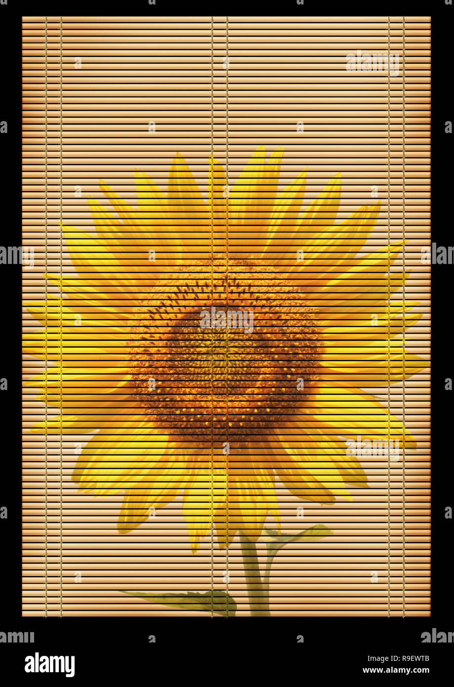 Background - an ancient volumetric Japanese reed mat Stock Photo - Alamy