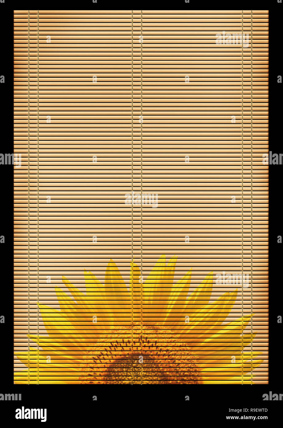 Background - an ancient volumetric Japanese reed mat Stock Photo - Alamy