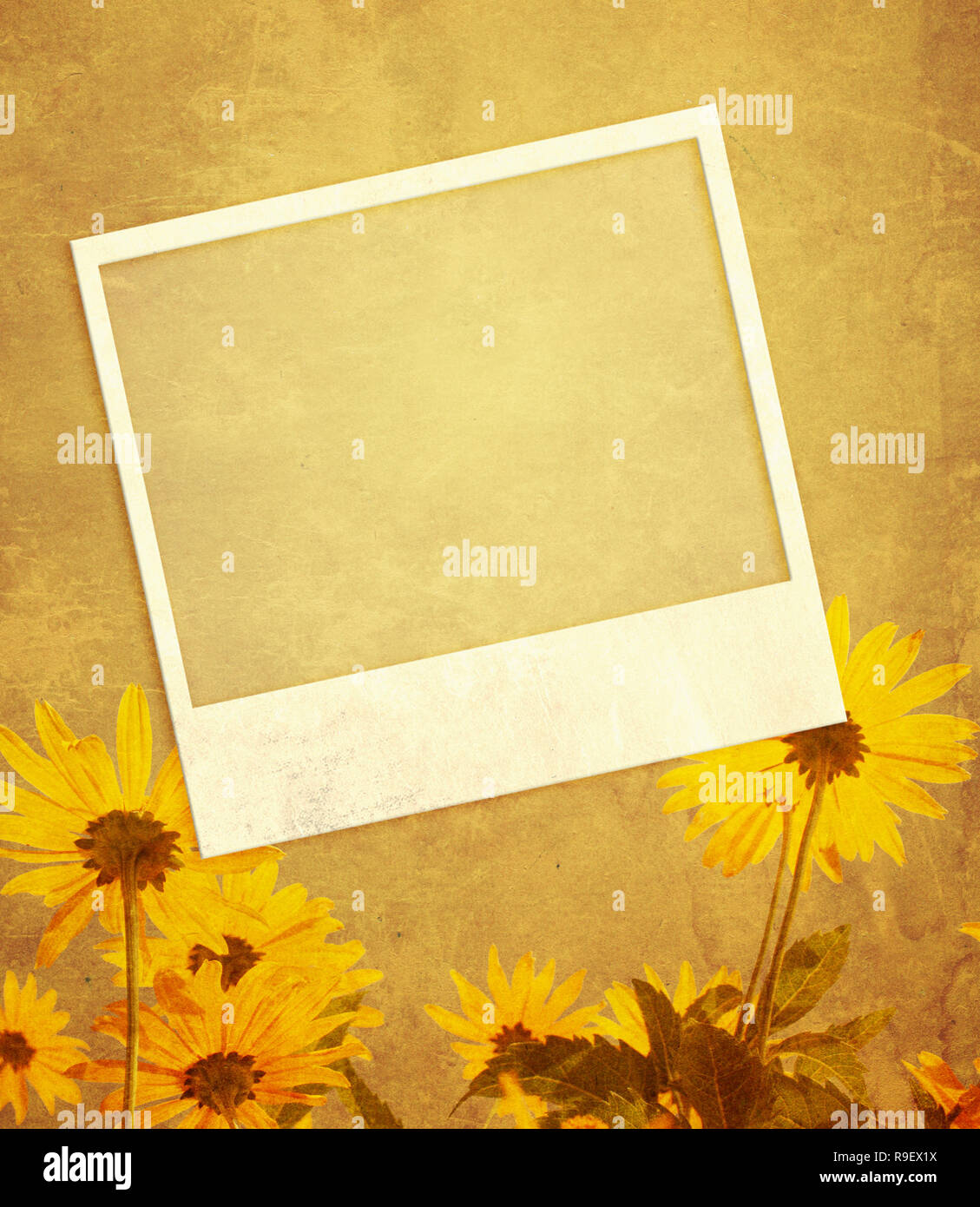 Grunge background with flowers and photoframes Stock Photo - Alamy