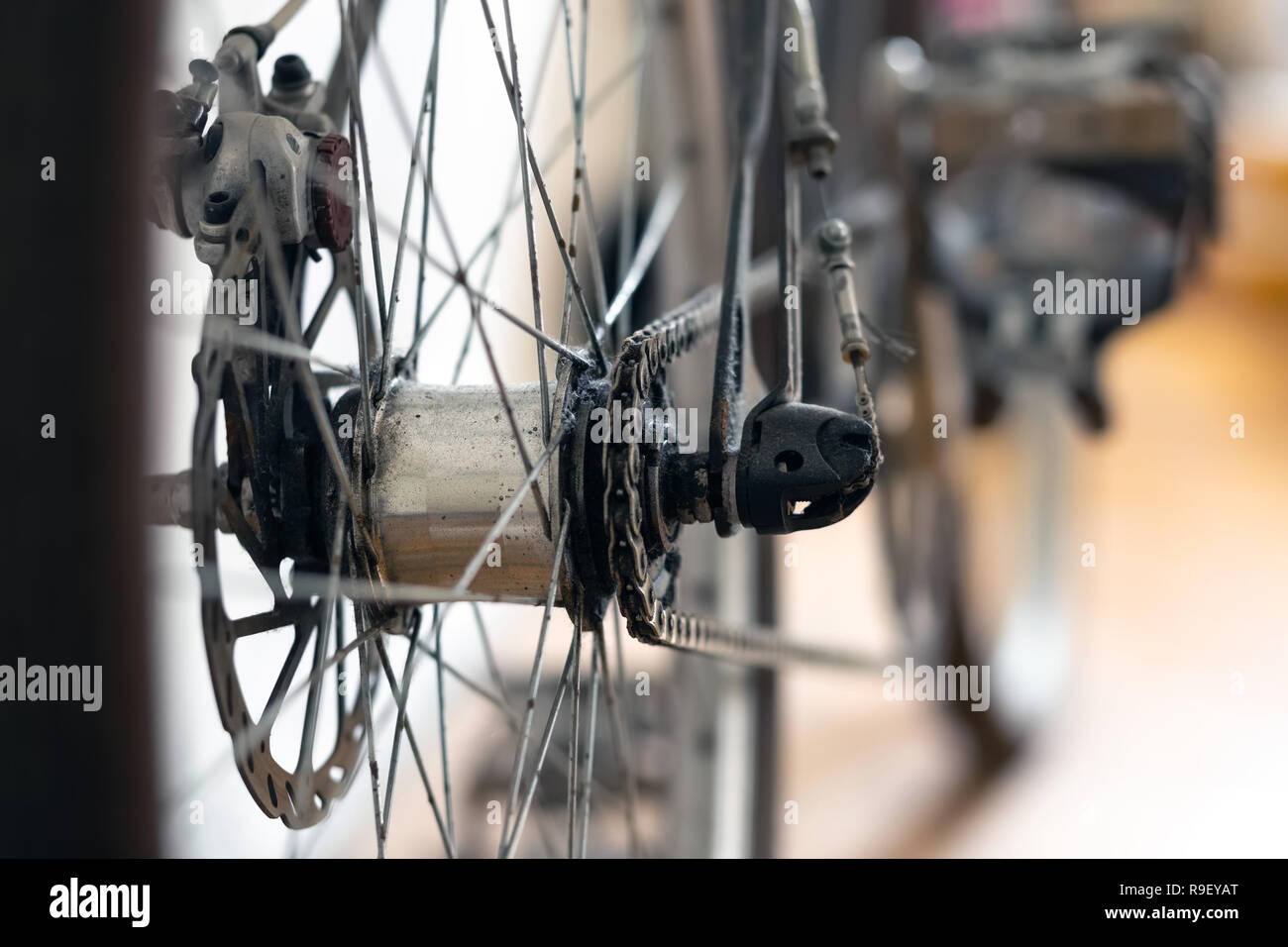 custom vintage bicycles