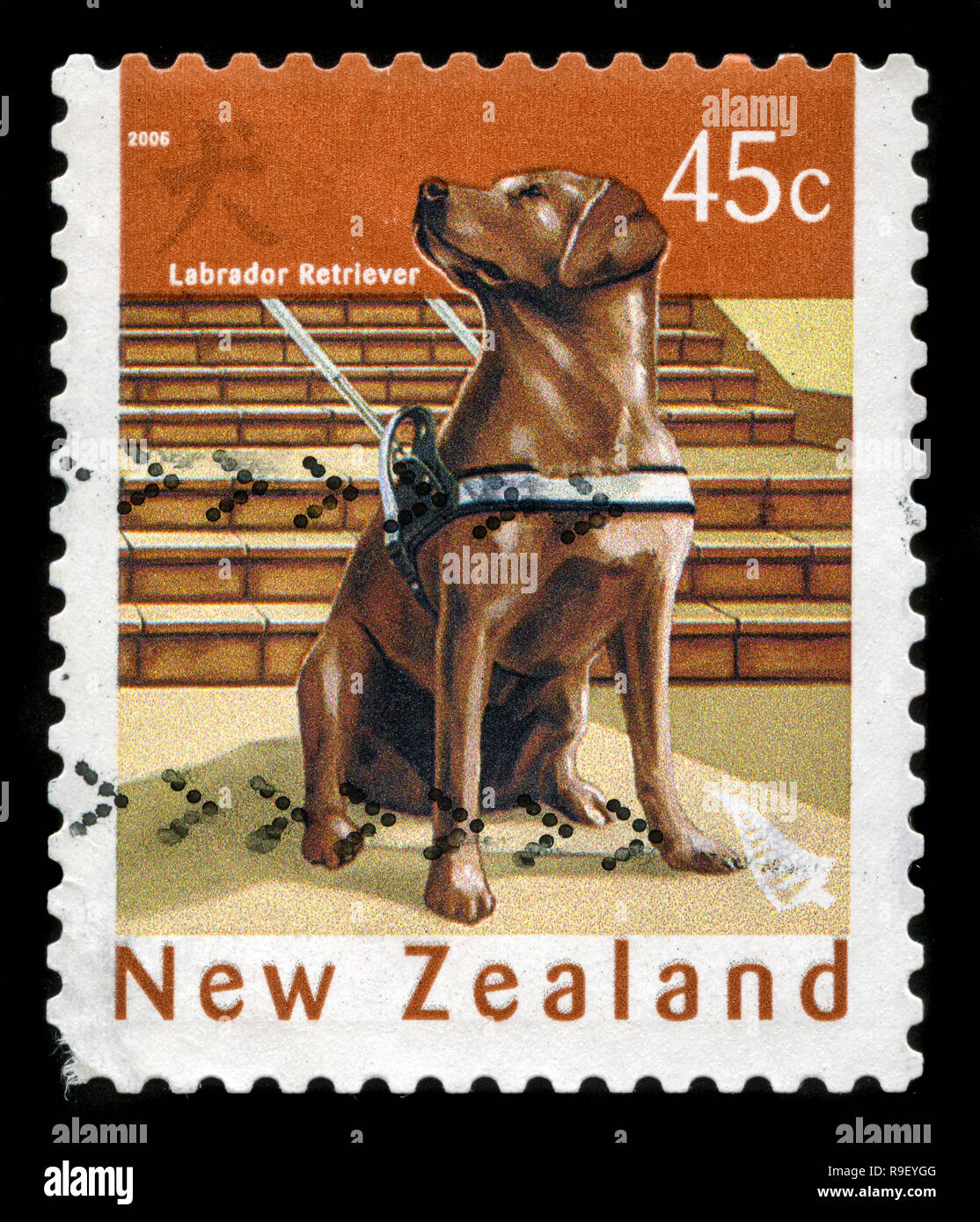 Postage stamp from New Zealand in the Chinese New Year (Year of the Dog)  2006 series Stock Photo - Alamy