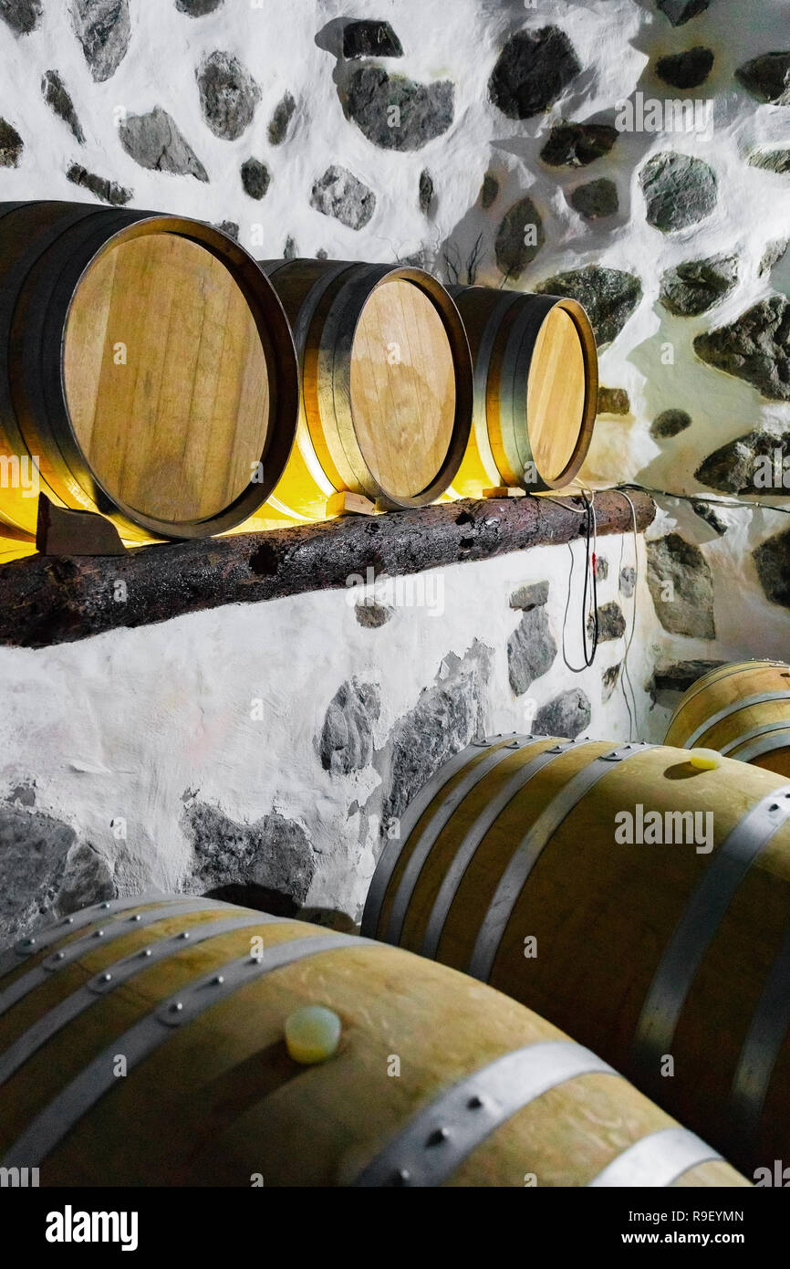 Wooden Barrels in Stored At Wine Cellar Under Ground Stock Photo Alamy