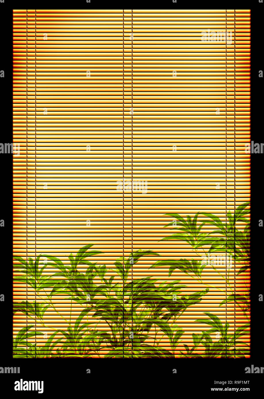 Background - an ancient volumetric Japanese reed mat Stock Photo - Alamy