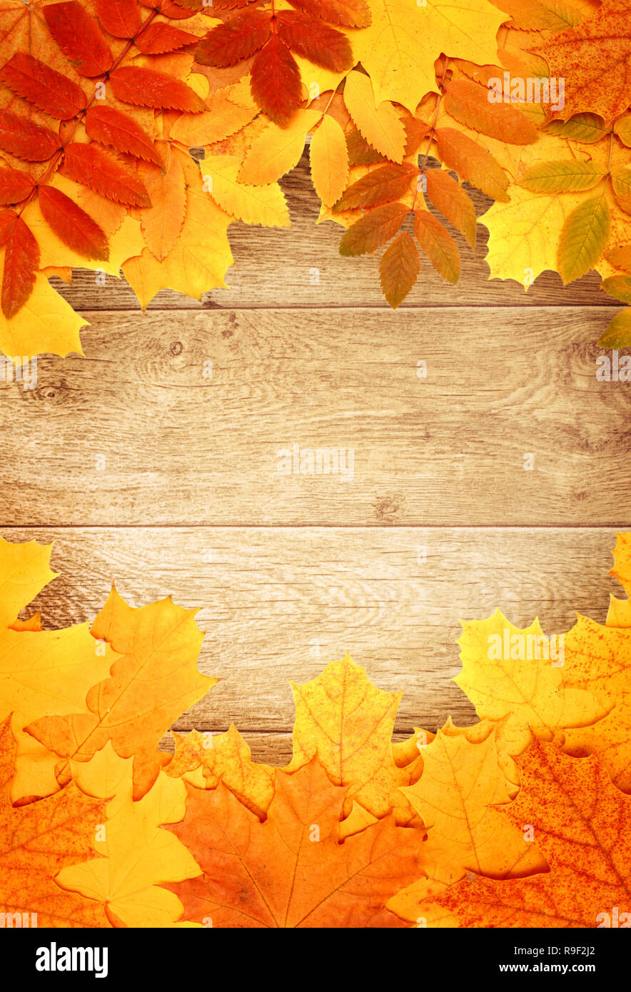 Grunge background with wooden planks autumn leaves Stock Photo - Alamy