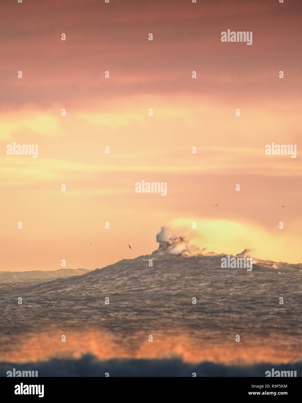 Crashing ocean waves sunset light Stock Photo