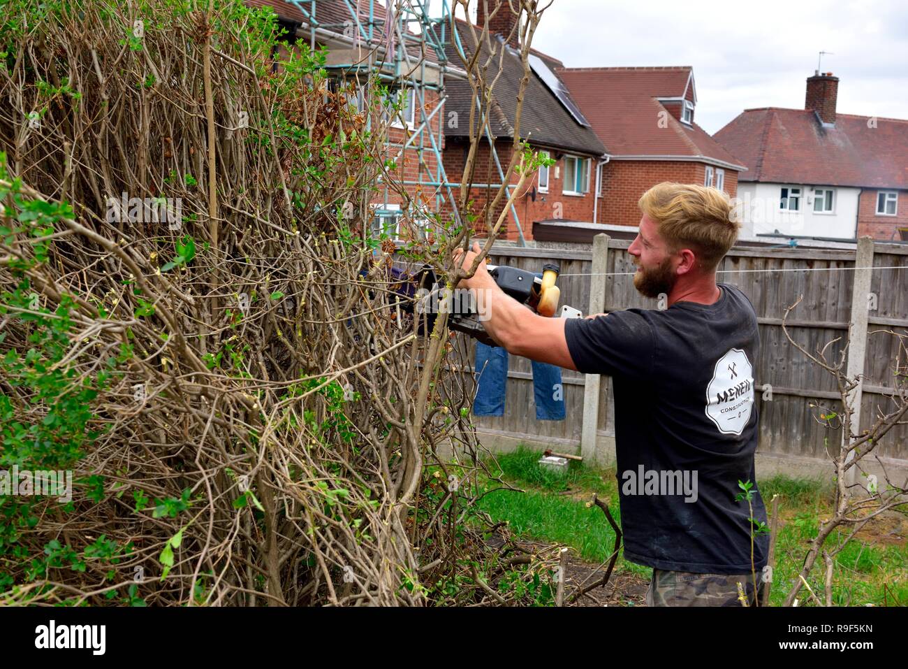 Hedge cutting uk hires stock photography and images Alamy