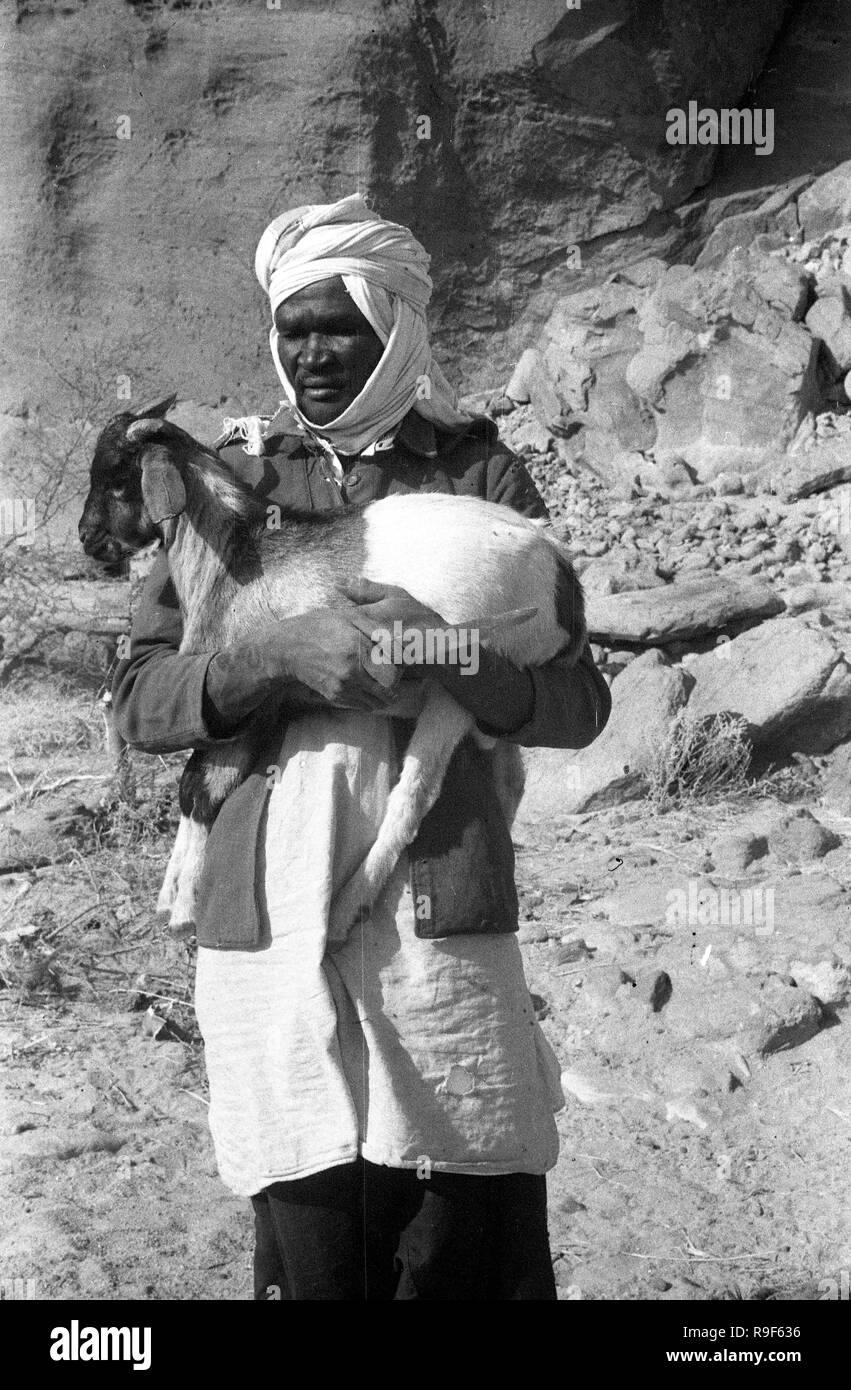French West Africa 1958 French Army Soldier with knife carrying sacrificial goat for slaughter Stock Photo