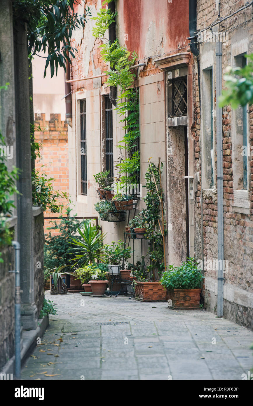 Venezia architecture closeup hi-res stock photography and images - Alamy