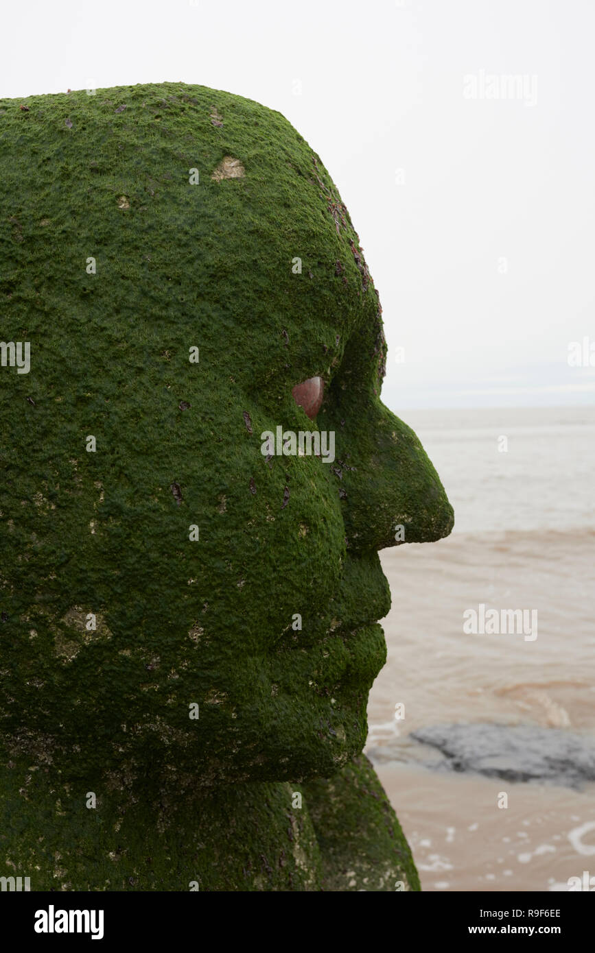 Stone Ogre sculpture showing algal growth, on cleveleys beach on the