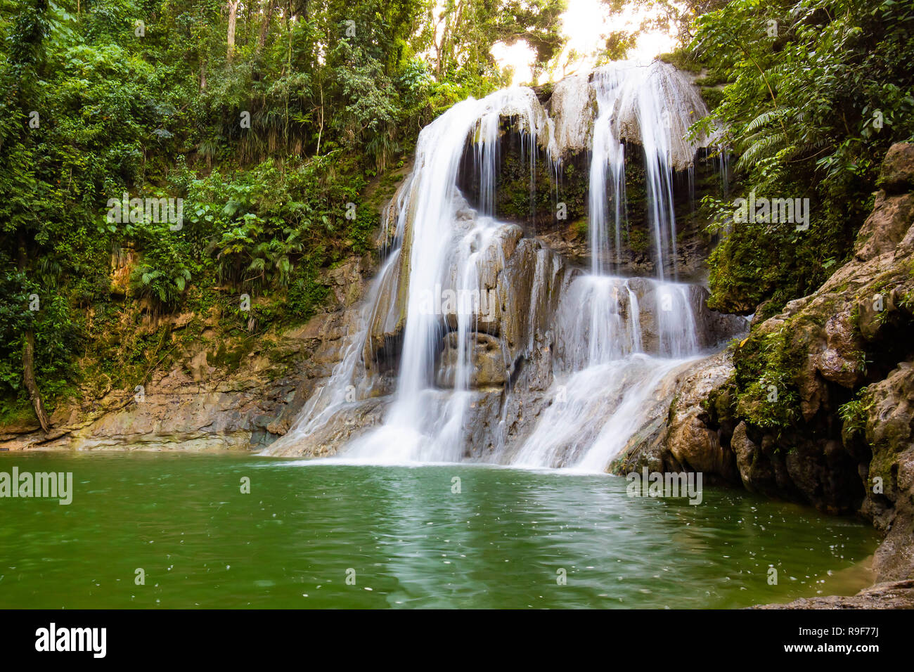Beautiful Gozalandia Waterfall in San Sebastian Puerto Rico at daylight  Stock Photo - Alamy