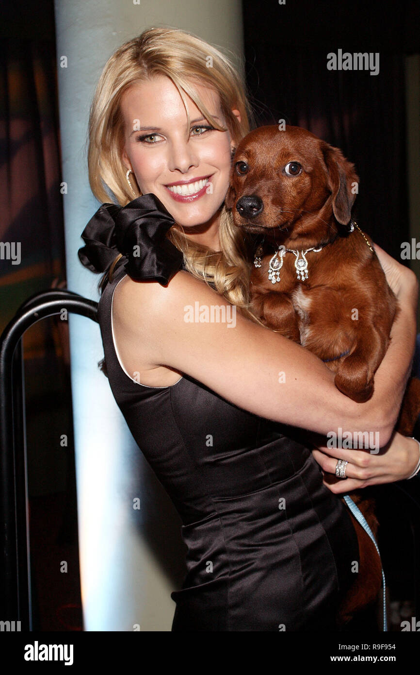 NEW YORK - FEBRUARY 12:  Beth Ostrosky-Stern poses with diamond-collared dog on the runway at the North Shore Animal League's Pre-Westminster Fashion Show at the Hotel Pennsylvania on February 12, 2010 in New York City.  (Photo by Steve Mack/S.D. Mack Pictures) Beth Ostrosky-Stern Stock Photo