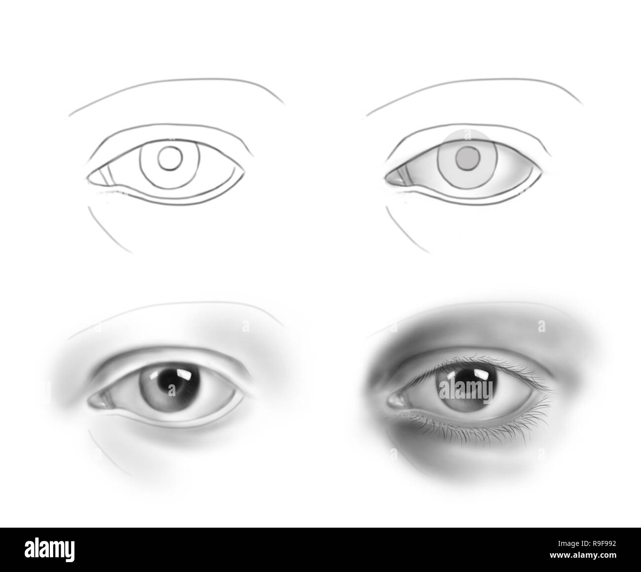 Tutorial of drawing human eye. Eye in anime style. female eyelashes