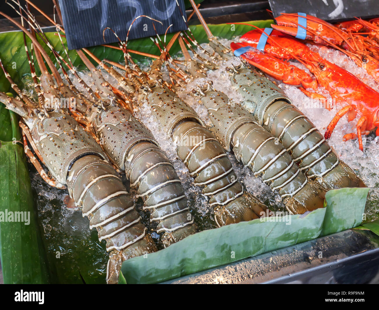 Fresh seafood arrangement displayed on the ice shelf for sale on the