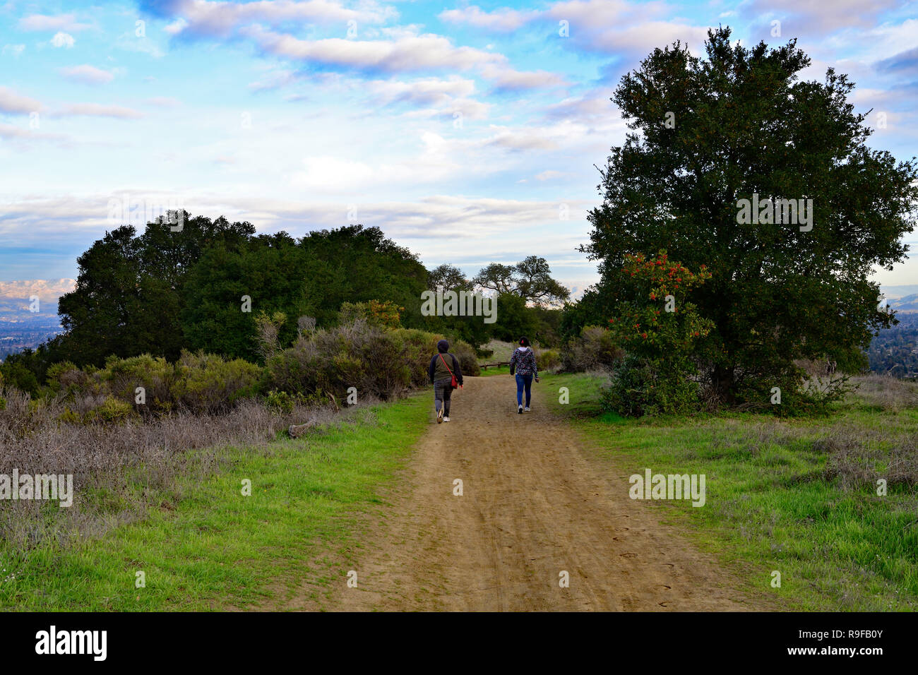 Citi of Cupertino and San Francisco South Bay Stock Photo Alamy