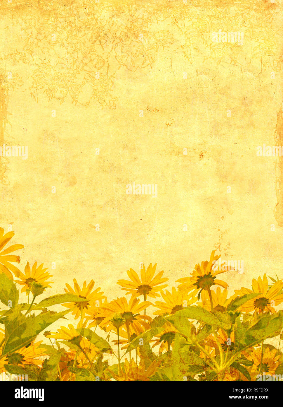 picture Flower Yellow Colour Background Images https www alamy com grunge background of yellow color with image flower image229606830 html