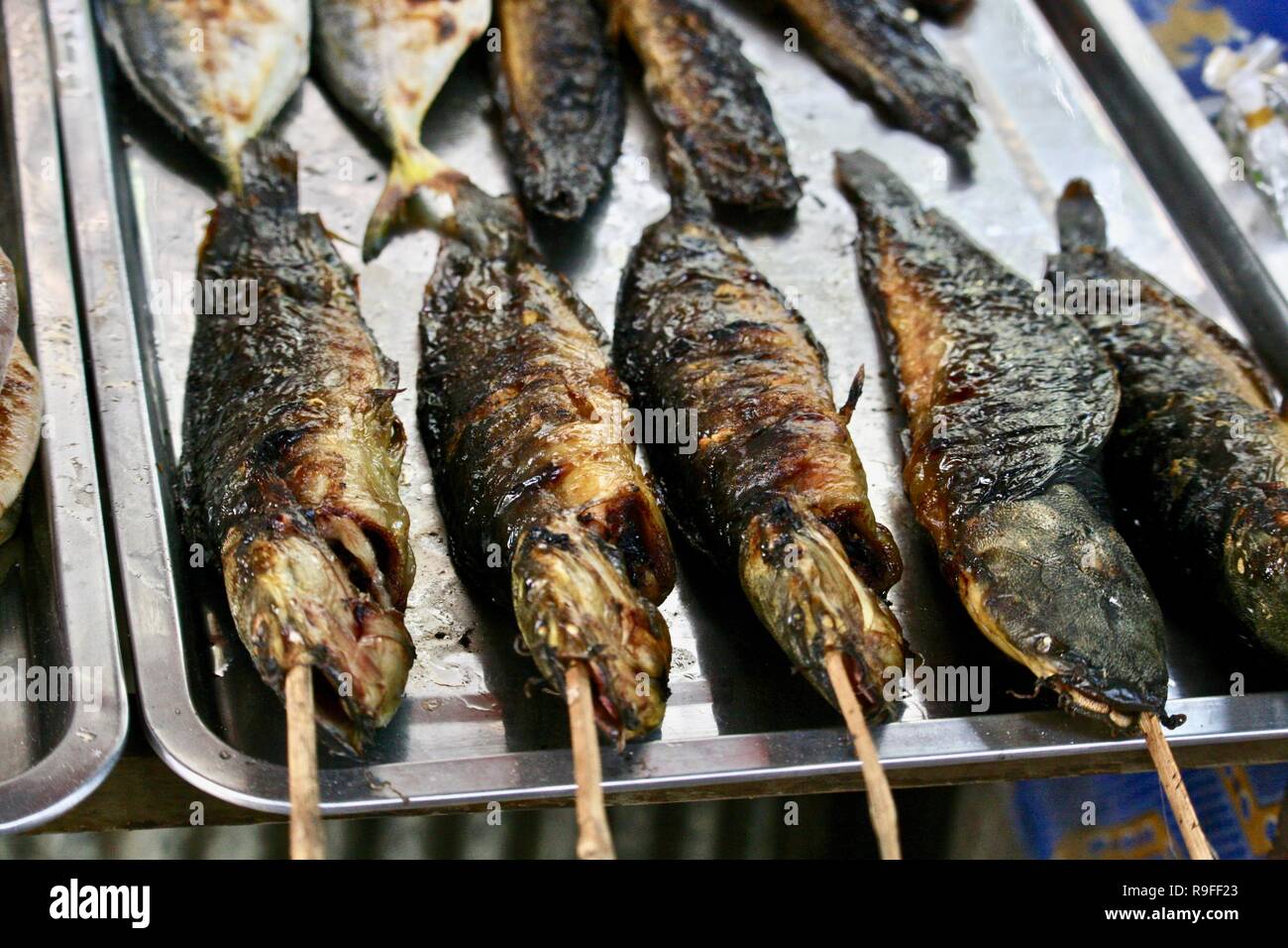 Grilled snake head fish on sticks sold as street food snacks at a seafood market in Cambodia Stock Photo