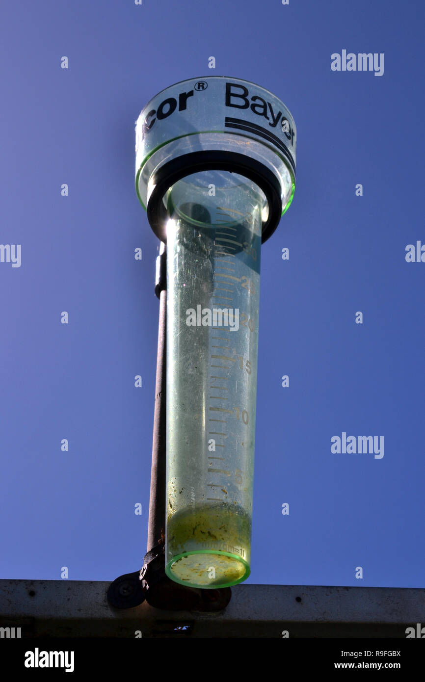 rain gauge with green moss after small rain shower Stock Photo Alamy