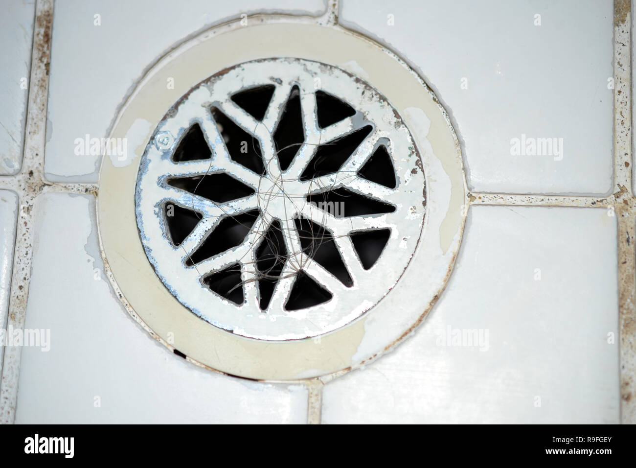 shower tiles with mold and hairs in drain Stock Photo