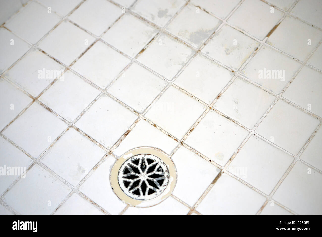shower tiles with mold and hairs in drain Stock Photo Alamy