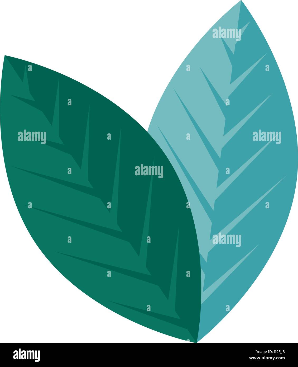 ecology leafs plant icon Stock Vector Image & Art - Alamy