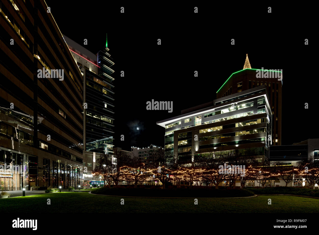 Unique view of Boise Idaho with Christmas lights in the trees on the