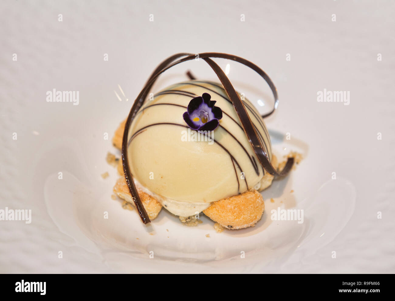 White truffle tiramisu cream fine dining, Bangkok, Thailand Stock Photo
