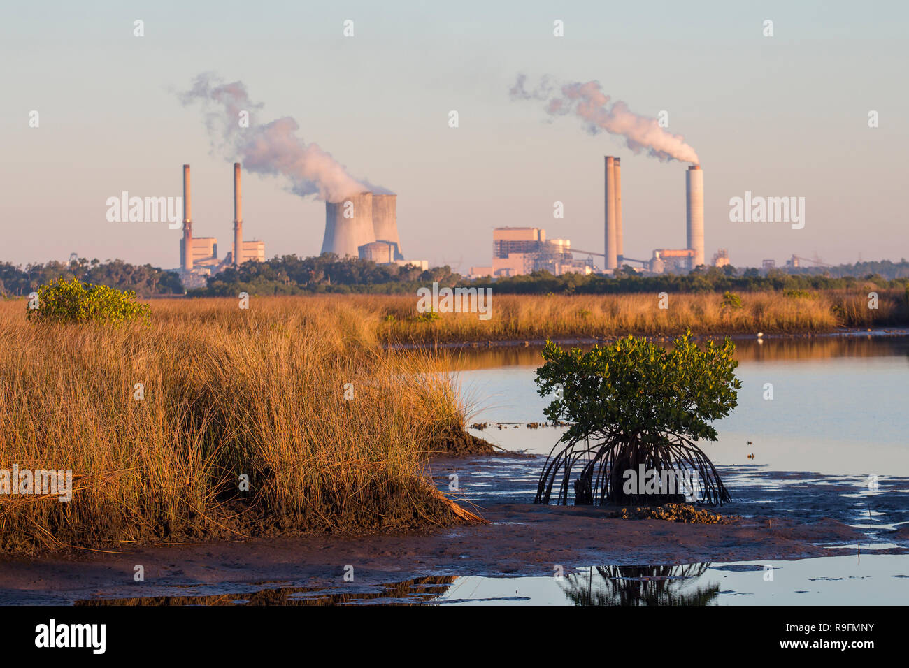 A view across the salt marsh wetlands of the Duke Energy Crystal River Complex on a 4,700 acre site near the mouth of the Crystal River in Florida Stock Photo