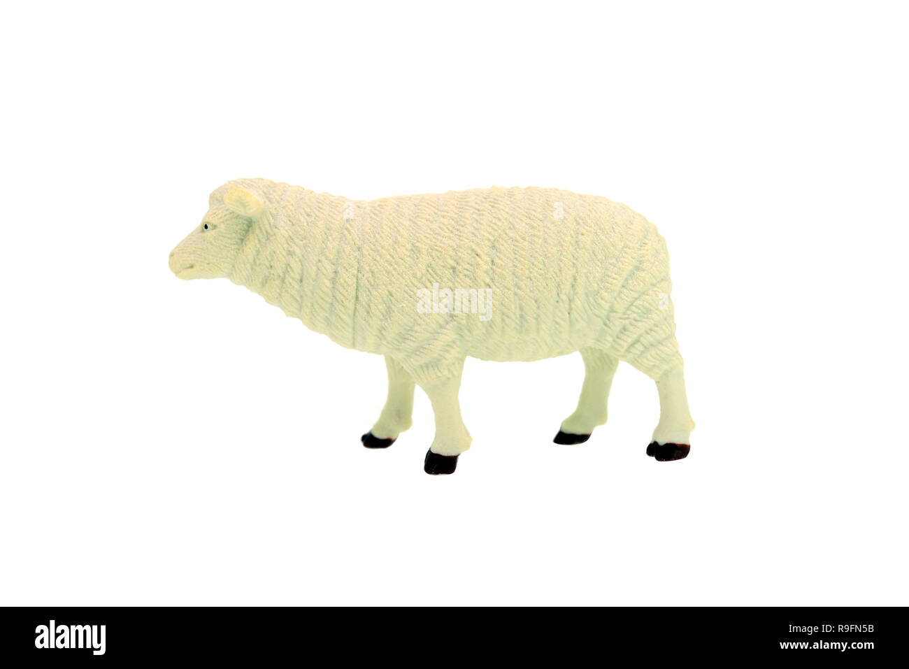 plastic toy sheep isolated over white background Stock Photo Alamy