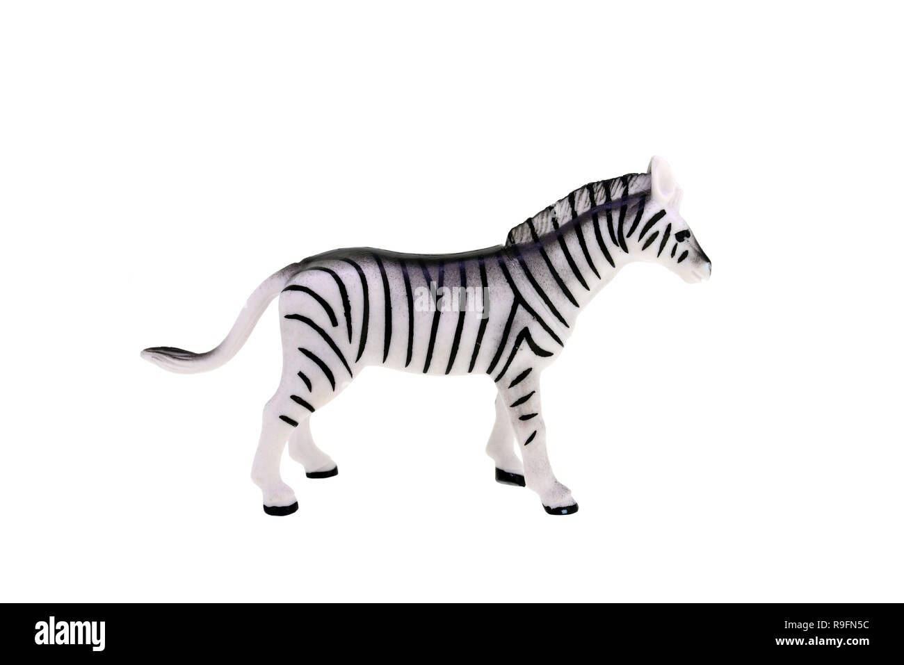 plastic toy zebra isolated over white background Stock Photo
