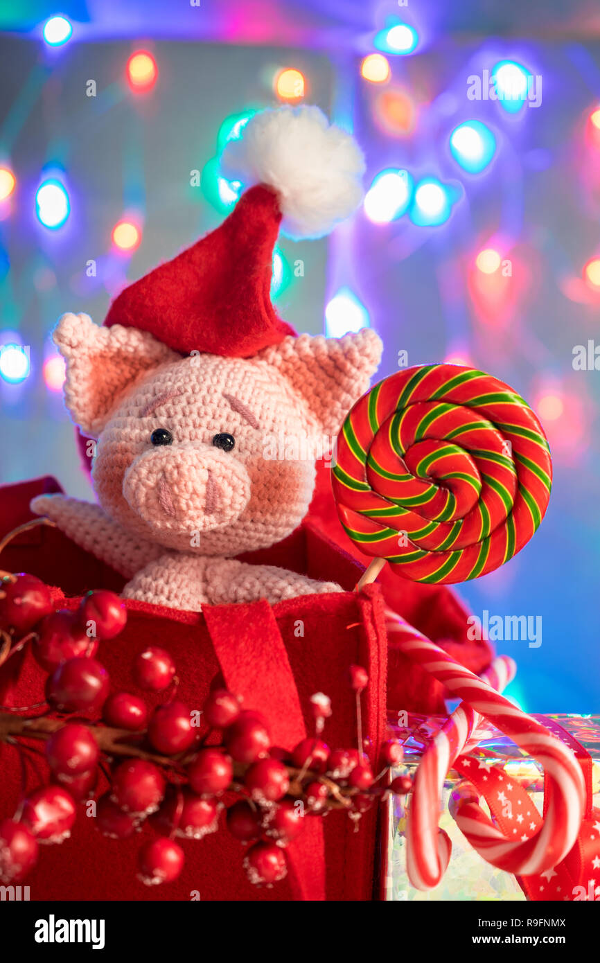 Funny pig in a red bag with lollipop on background with illumination. Funny greeting card with new year 2019. Stock Photo