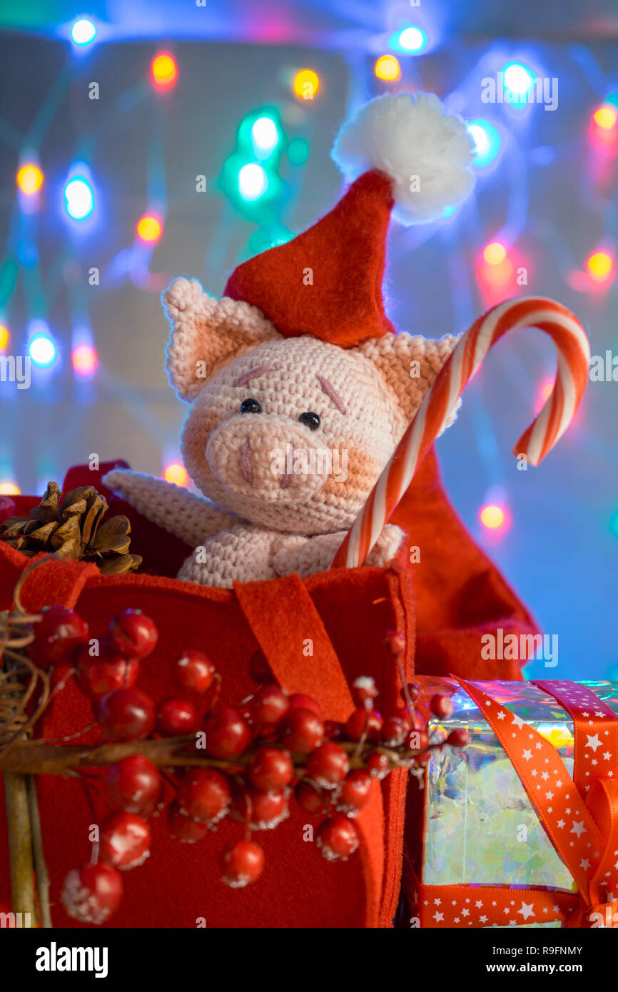 Funny pig in a red bag with candy cane on background with illumination. Funny greeting card with new year 2019. Stock Photo