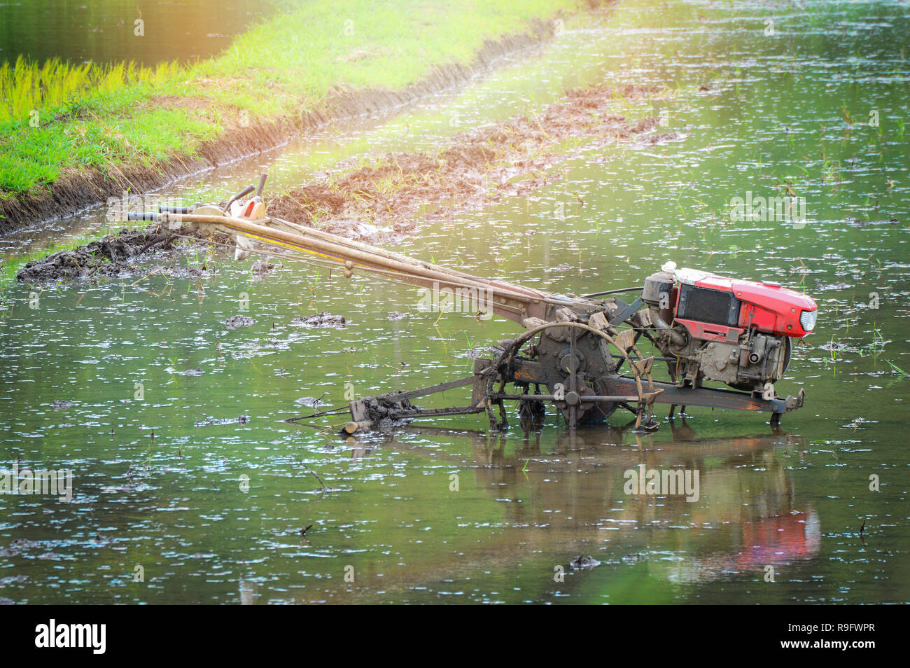 Walking Tractor on rice field for work plow Plows machine small