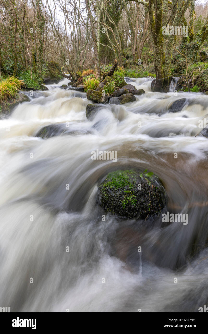 Lamorna River; Cornwall; UK Stock Photo