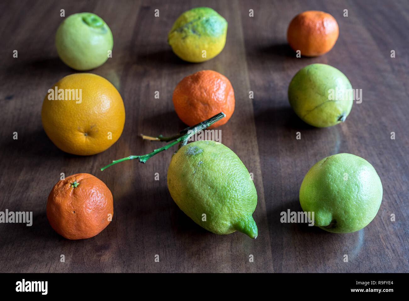 nine lemon, orange and mandarins, healthy food, resource of vitamin c