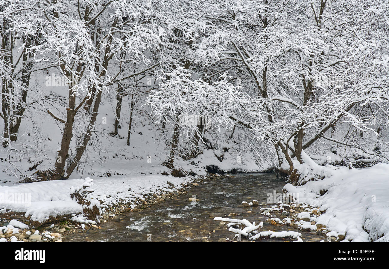 Winter landscape with a river and frosty trees Stock Photo - Alamy