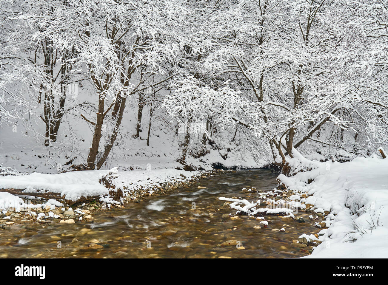 Winter landscape with a river and frosty trees Stock Photo - Alamy